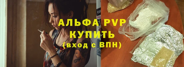 спайс Касимов
