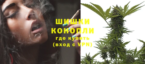 спайс Касимов