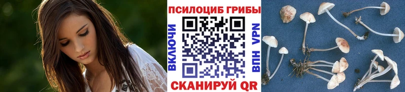 Галлюциногенные грибы Cubensis  Купить где  Буйнакск 