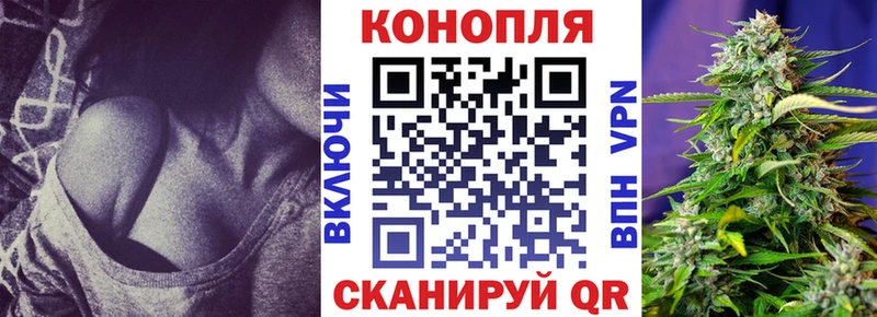 Каннабис ГИДРОПОН  Купить где  Буйнакск 